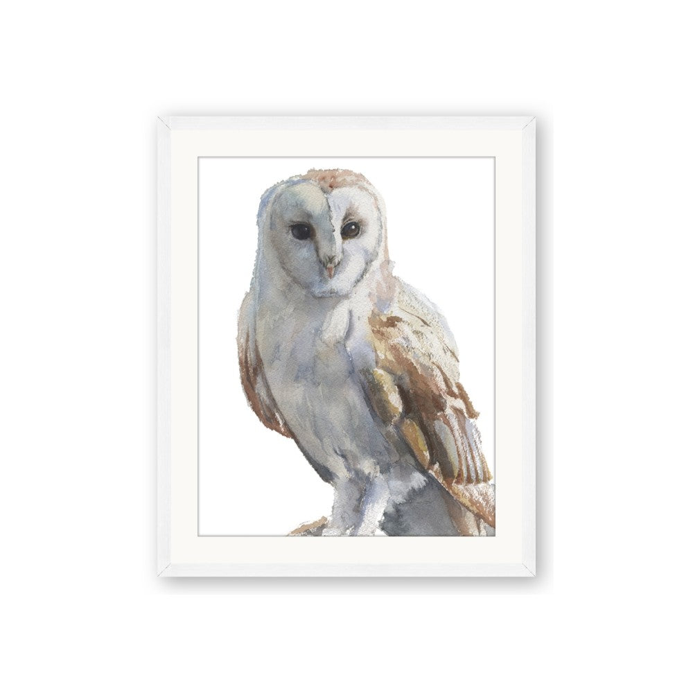 Watercolour Owl