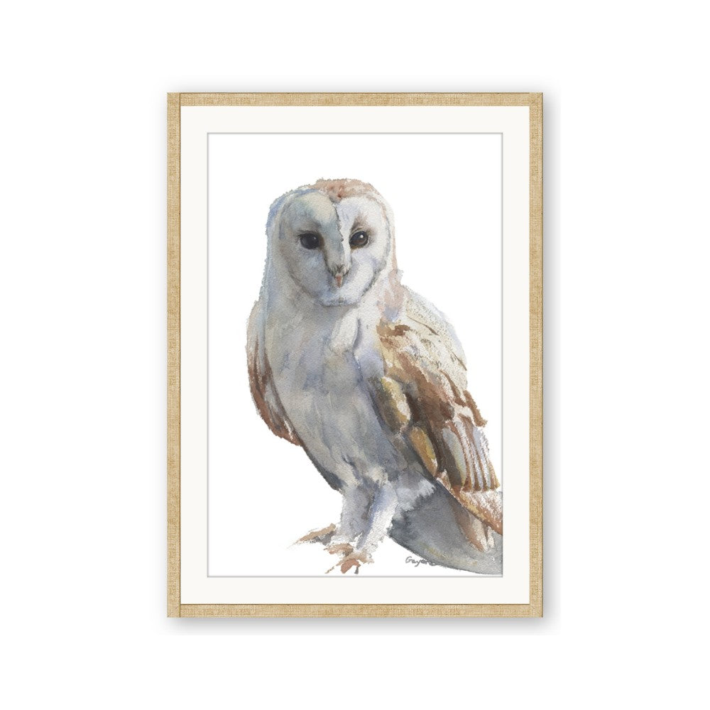 Watercolour Owl