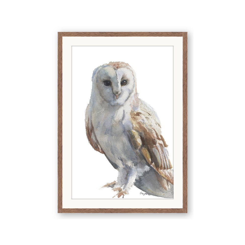 Watercolour Owl