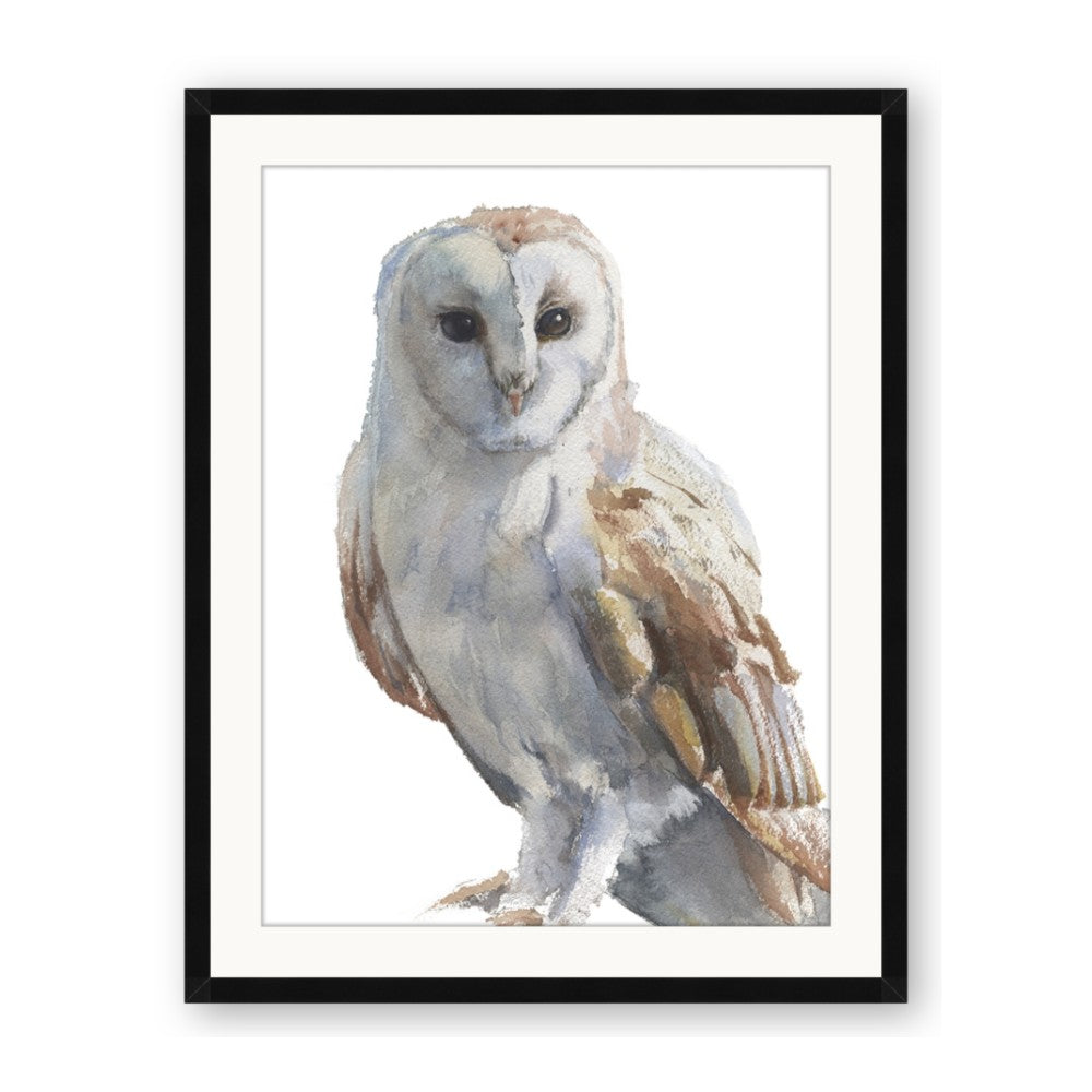 Watercolour Owl