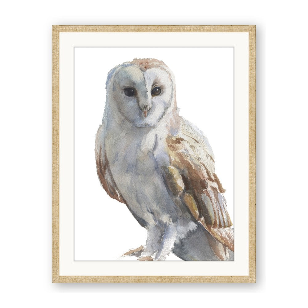 Watercolour Owl