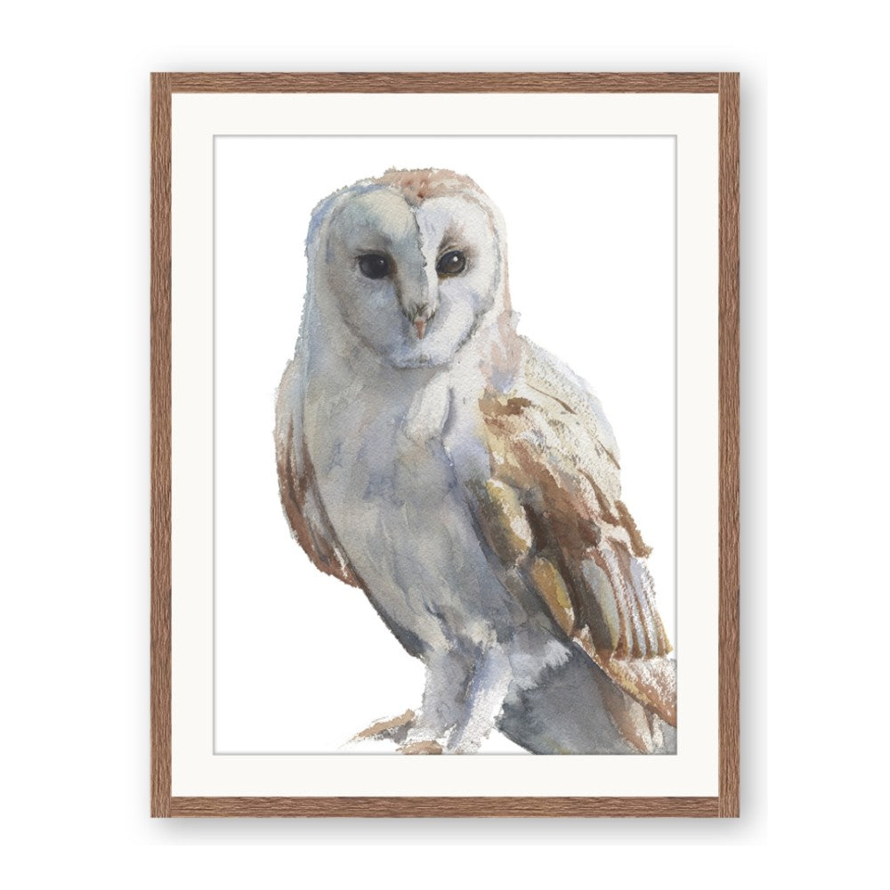 Watercolour Owl