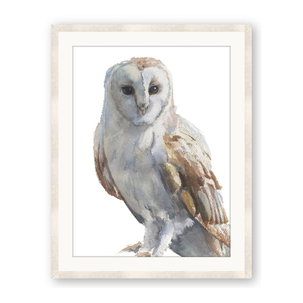 Watercolour Owl