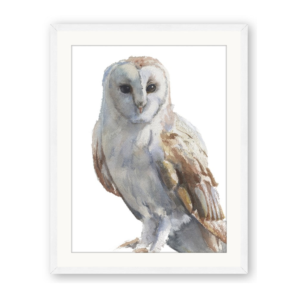 Watercolour Owl