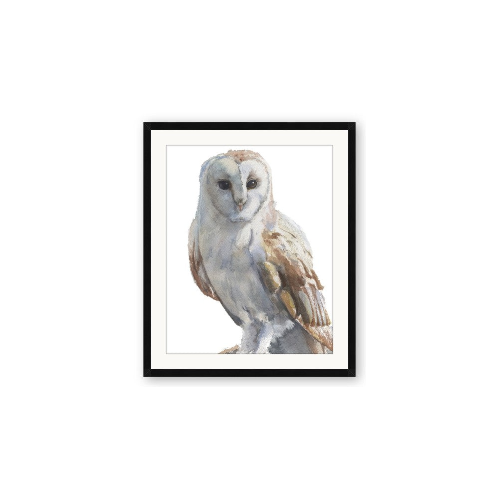 Watercolour Owl