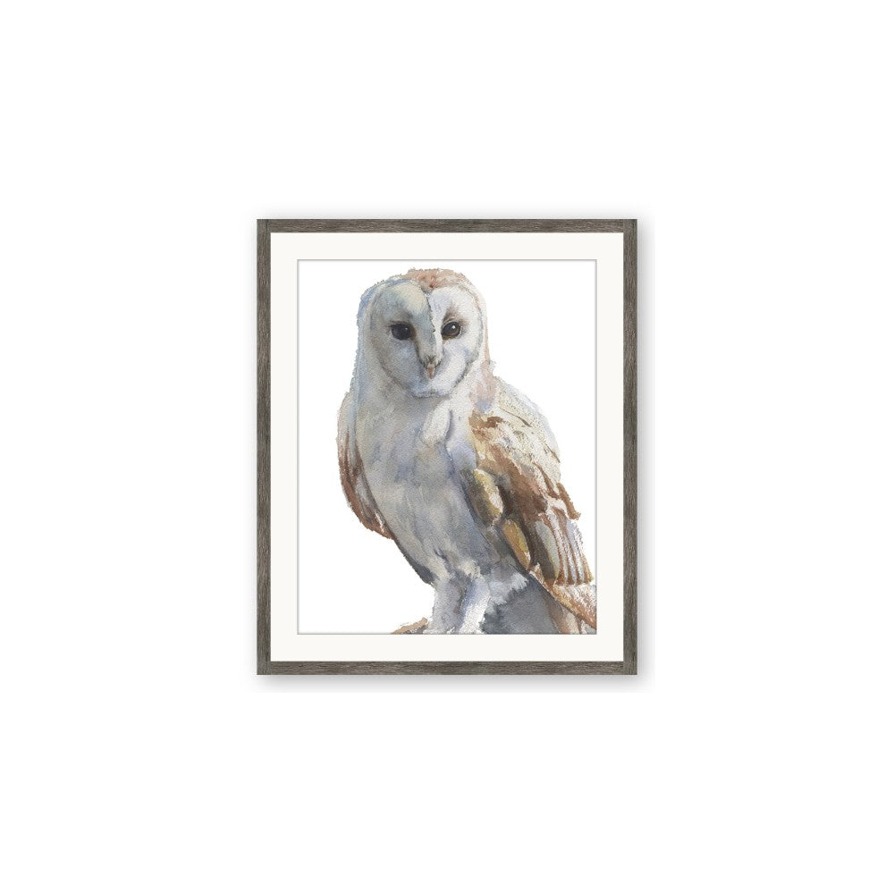 Watercolour Owl