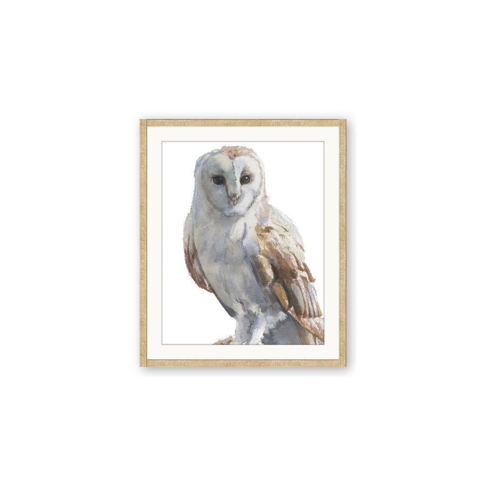Watercolour Owl