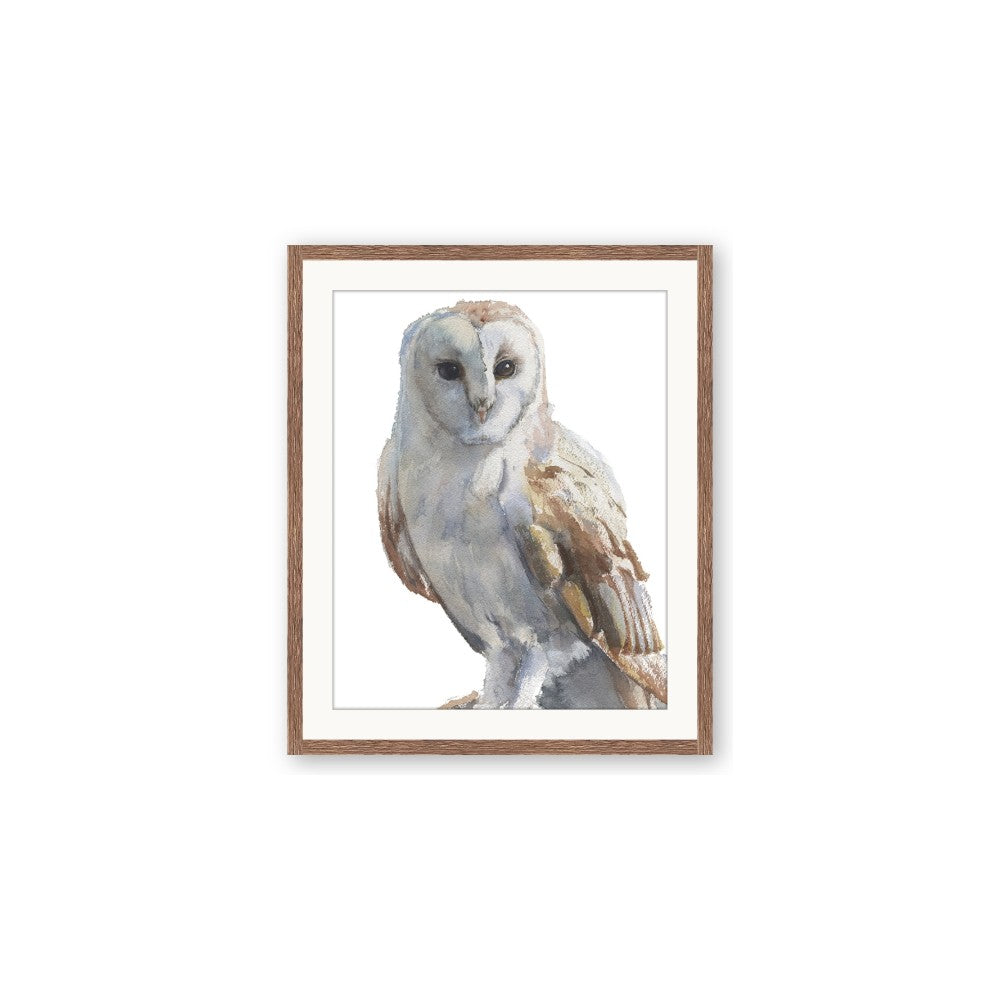 Watercolour Owl