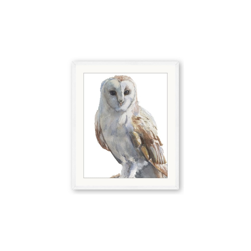 Watercolour Owl