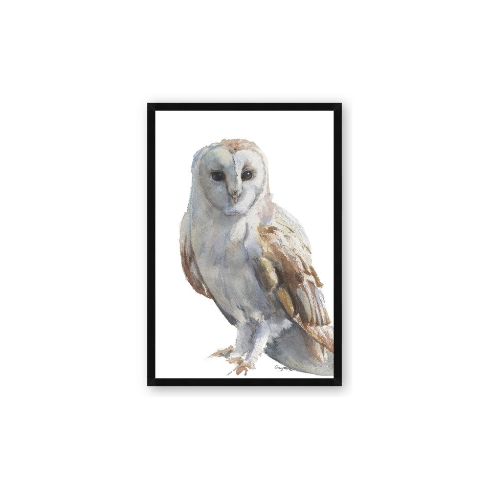 Watercolour Owl