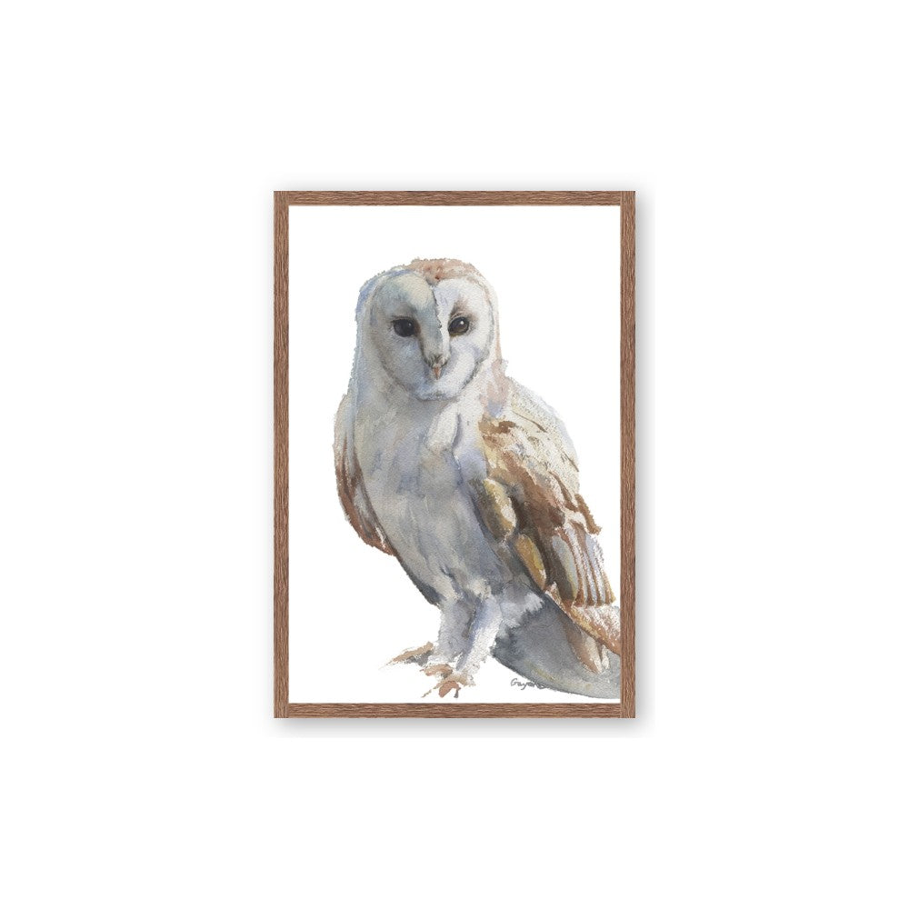 Watercolour Owl