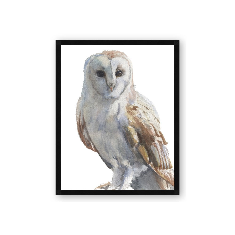Watercolour Owl
