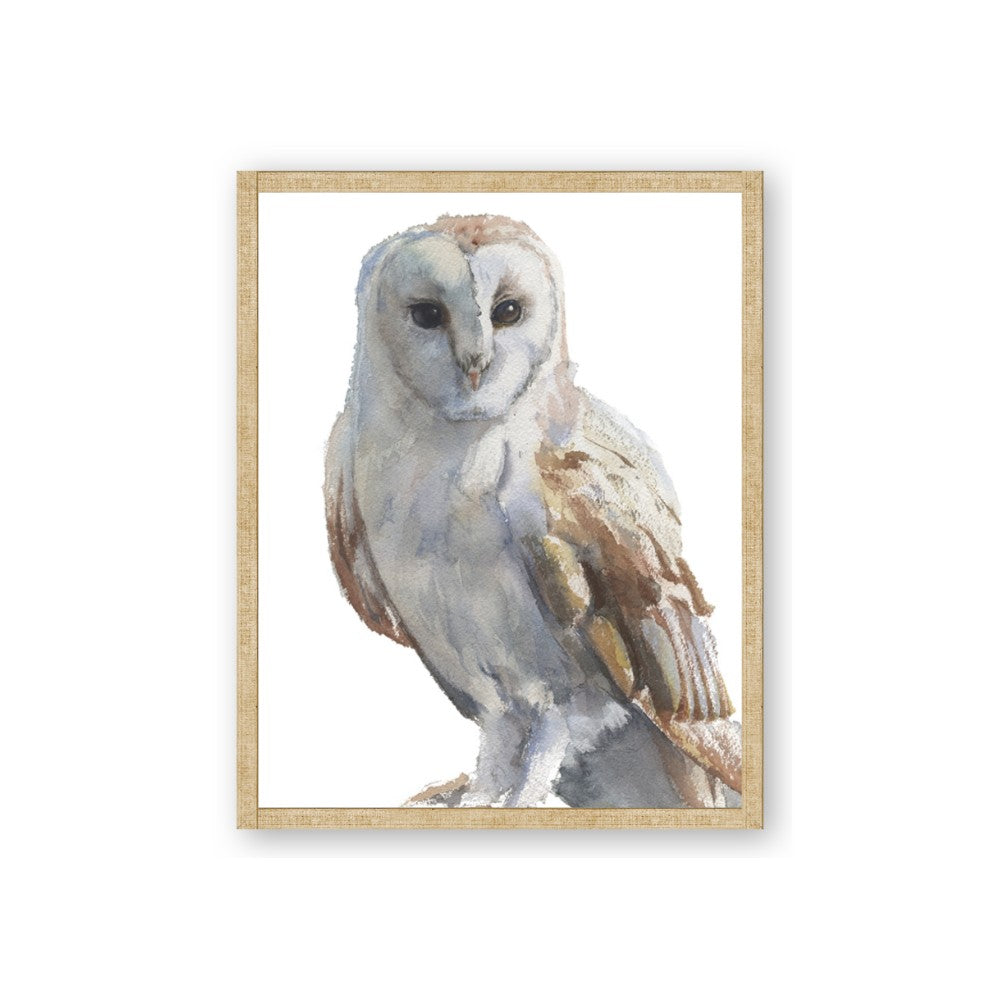 Watercolour Owl