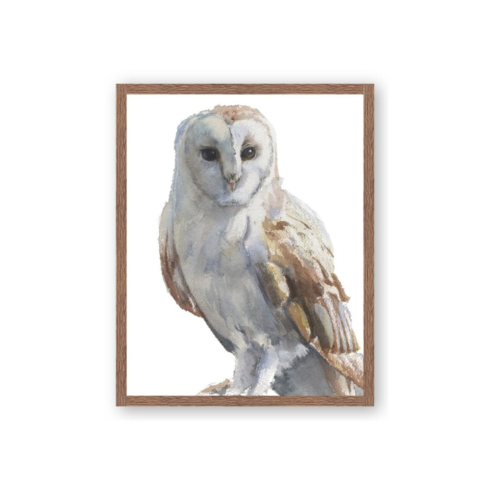 Watercolour Owl