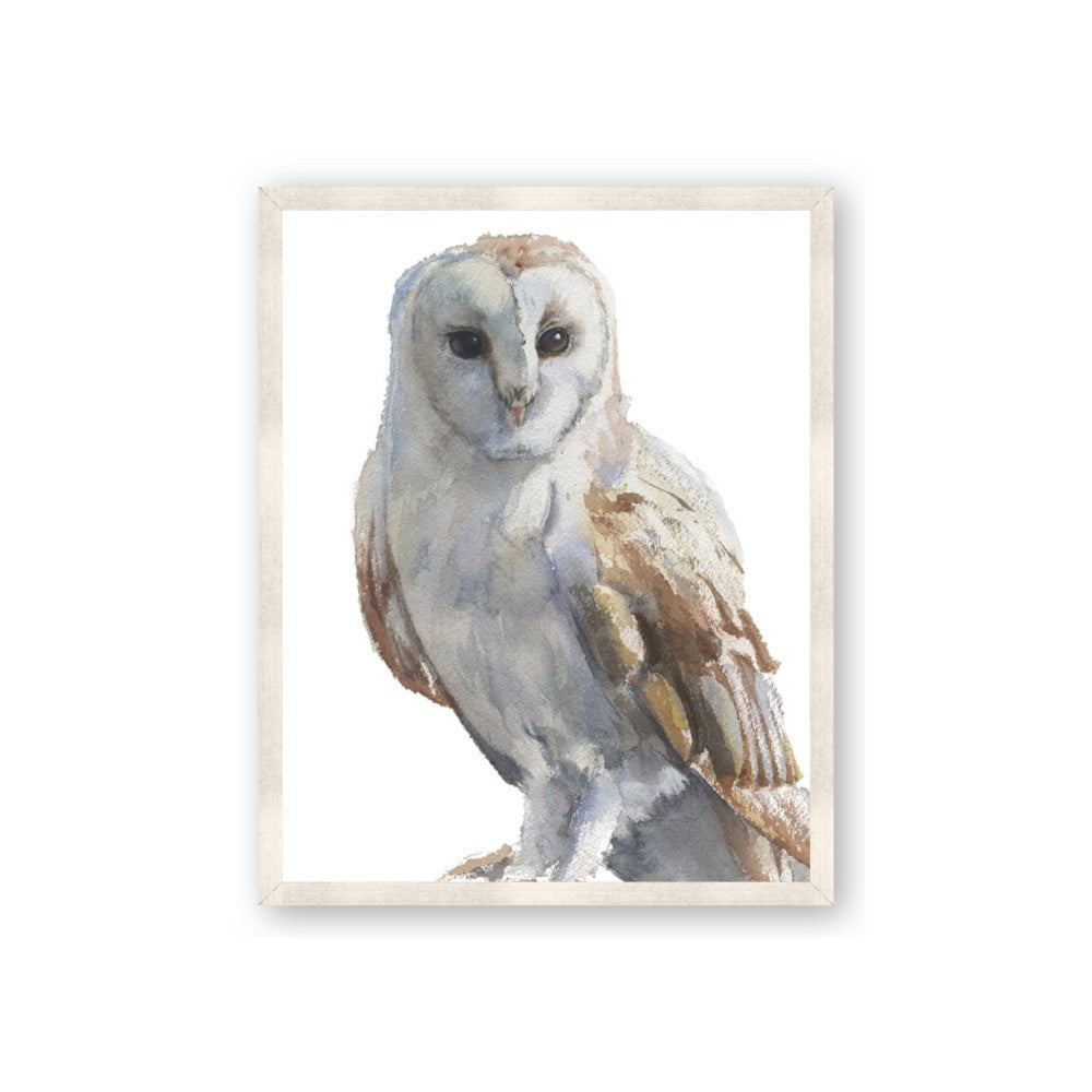 Watercolour Owl