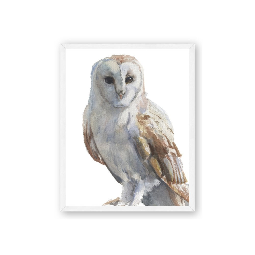 Watercolour Owl