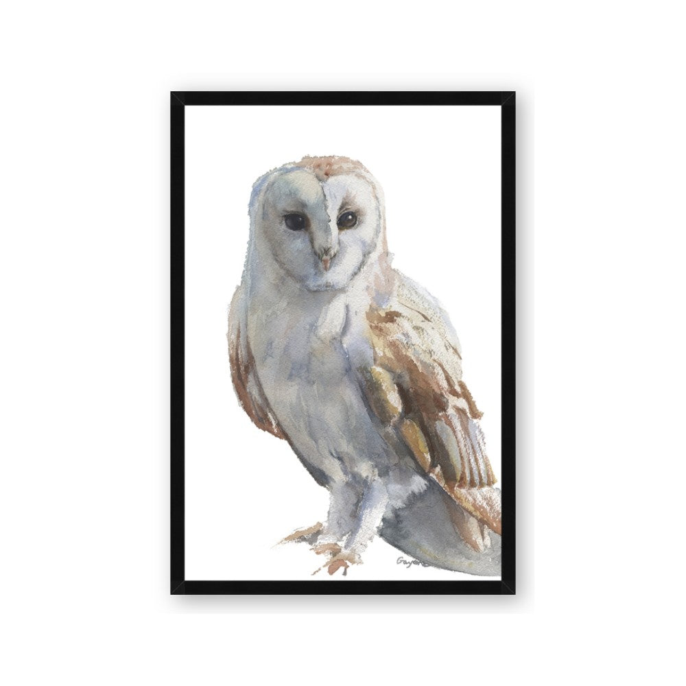 Watercolour Owl