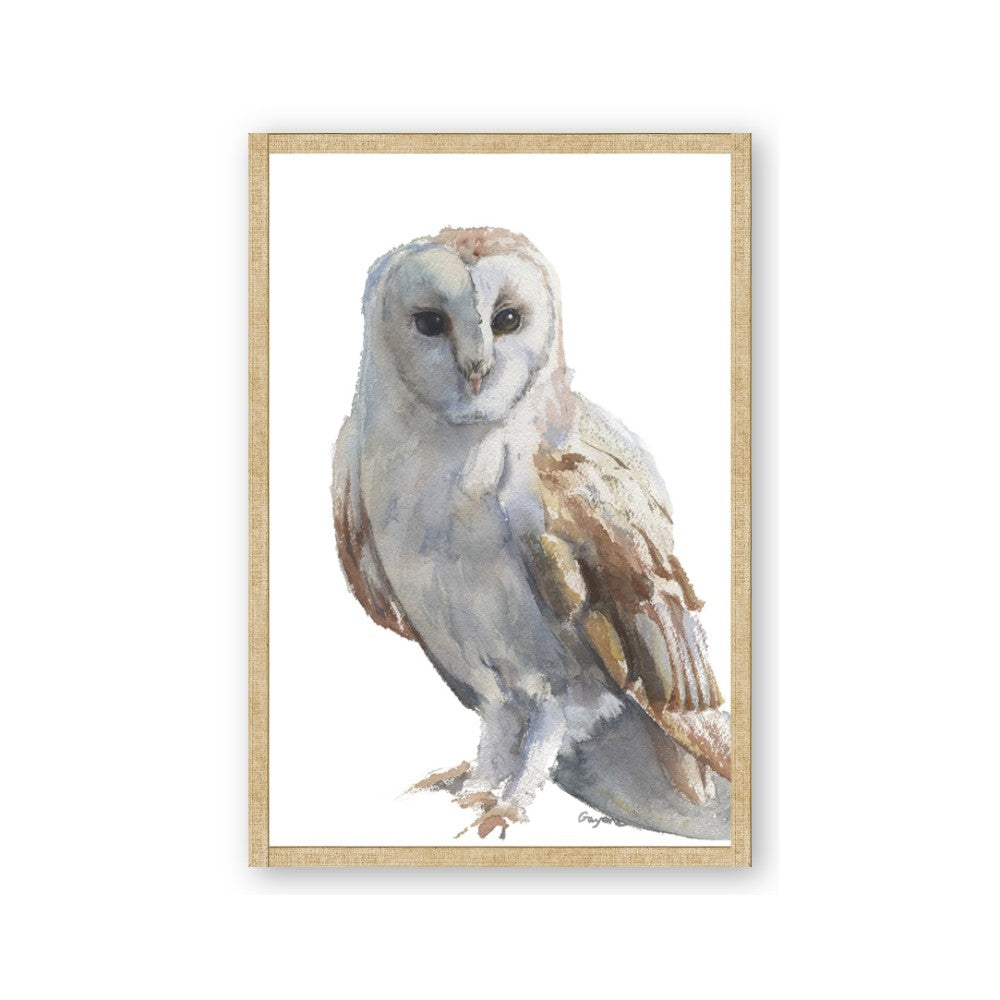 Watercolour Owl