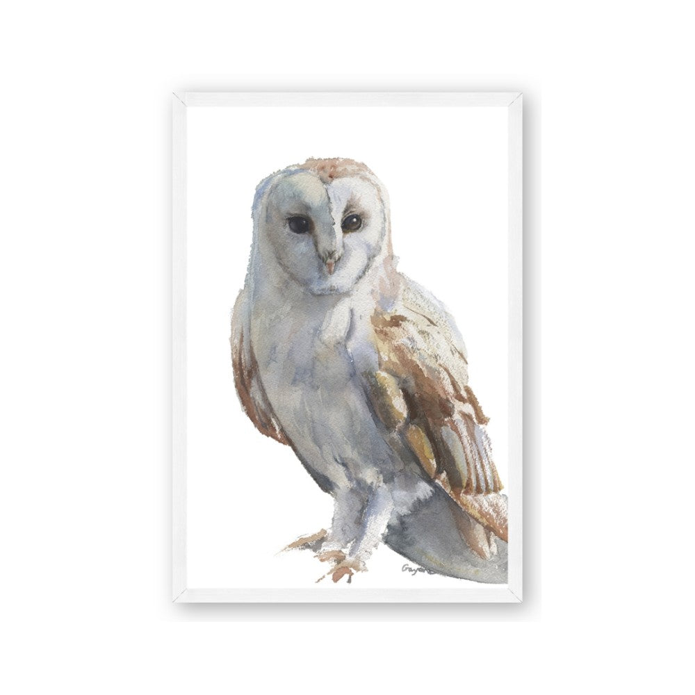 Watercolour Owl