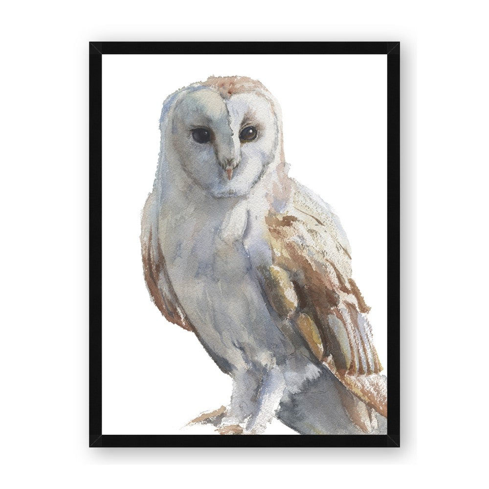 Watercolour Owl