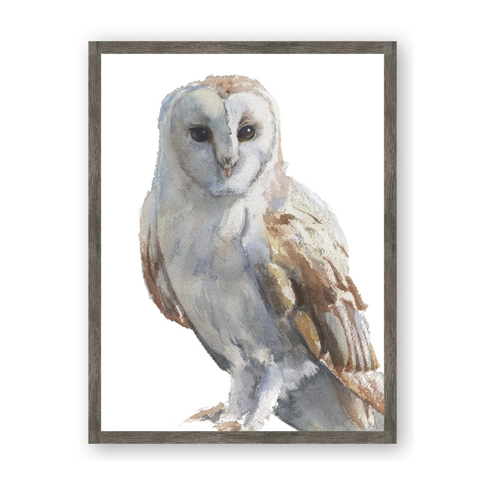 Watercolour Owl