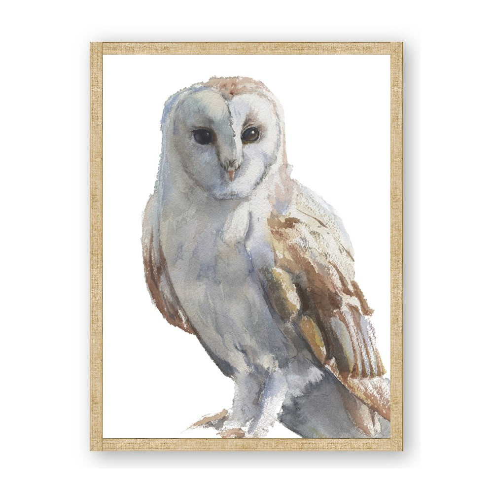 Watercolour Owl
