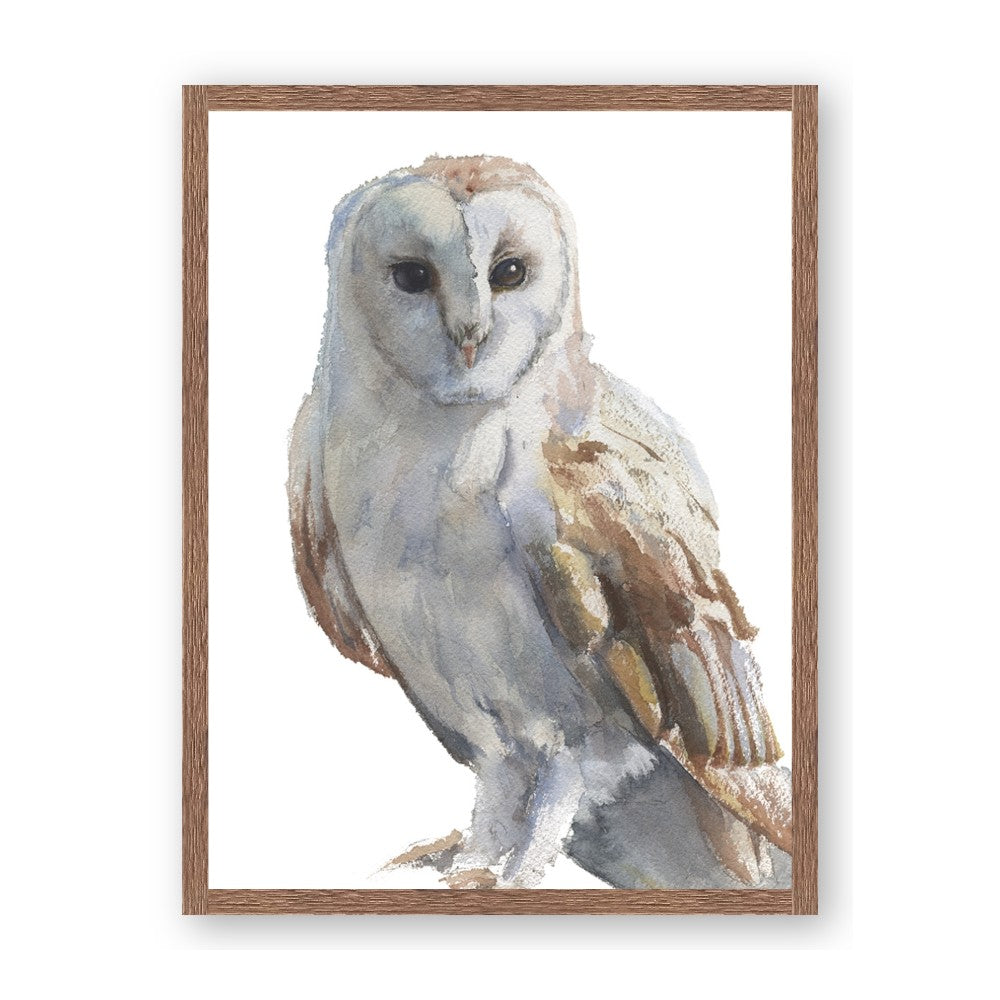 Watercolour Owl