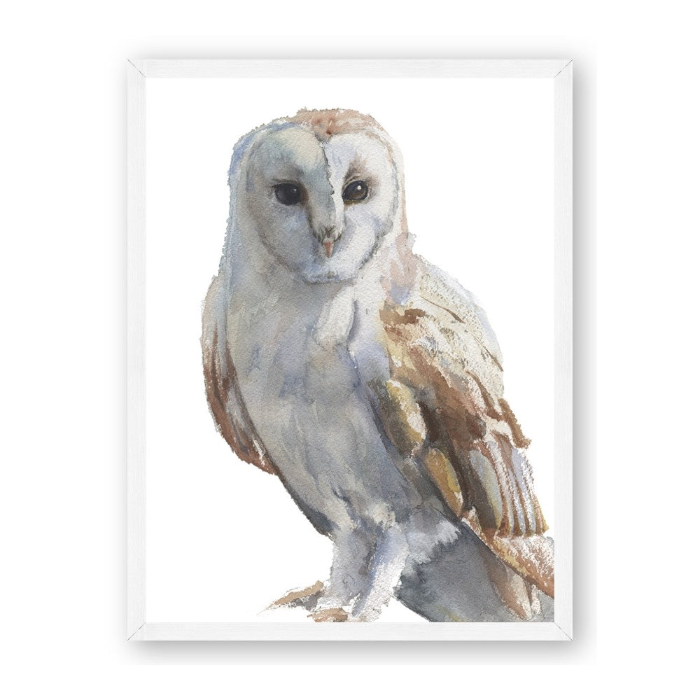 Watercolour Owl