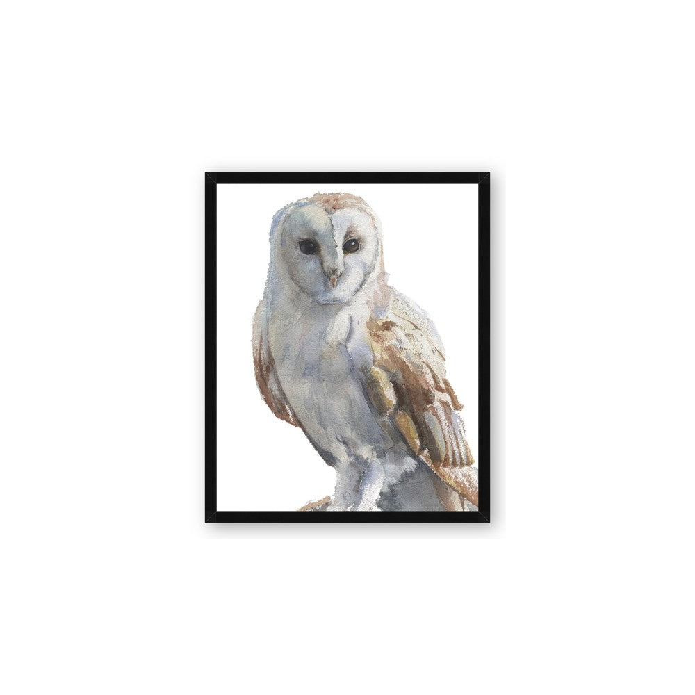 Watercolour Owl