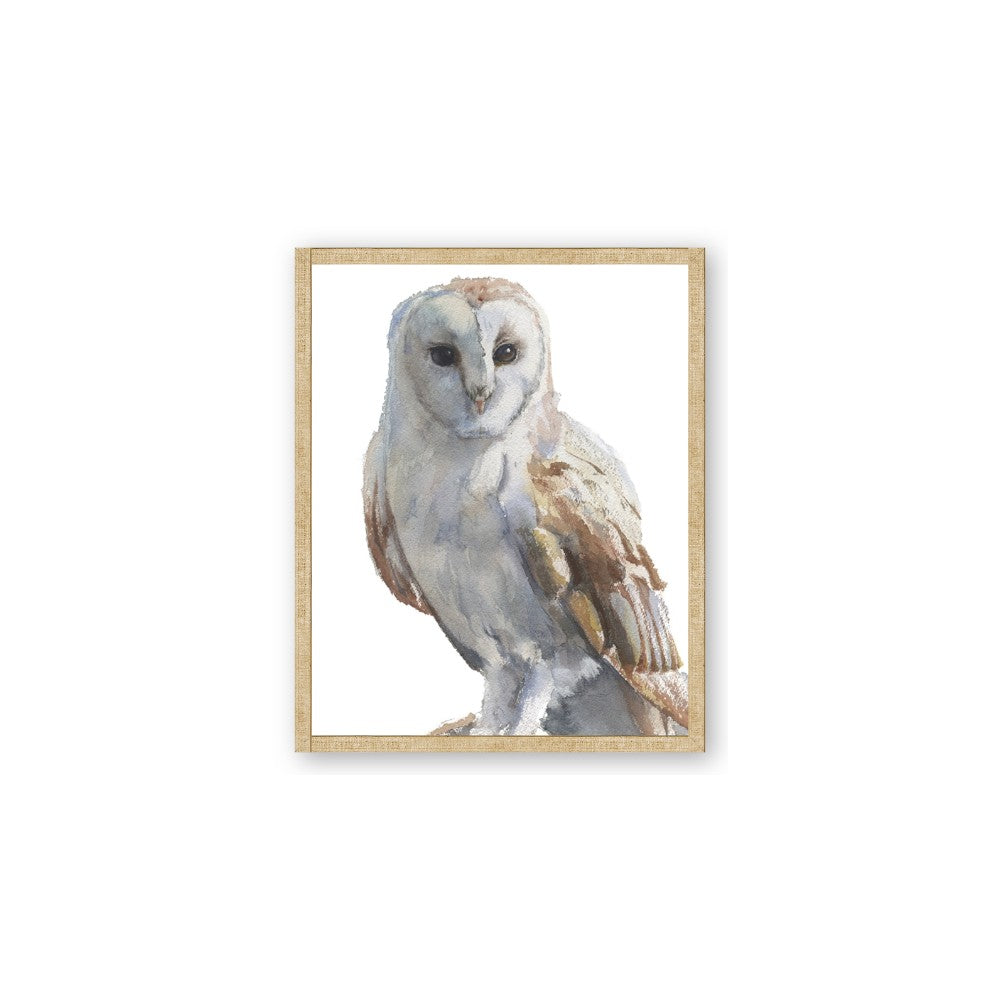 Watercolour Owl
