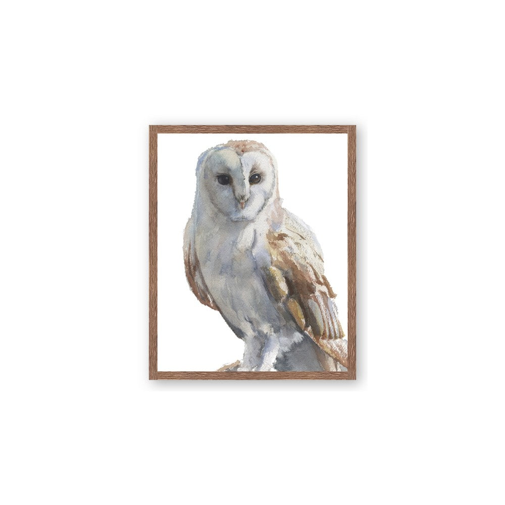 Watercolour Owl