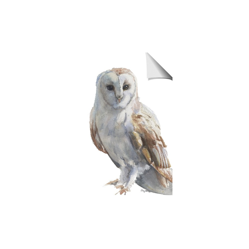 Watercolour Owl