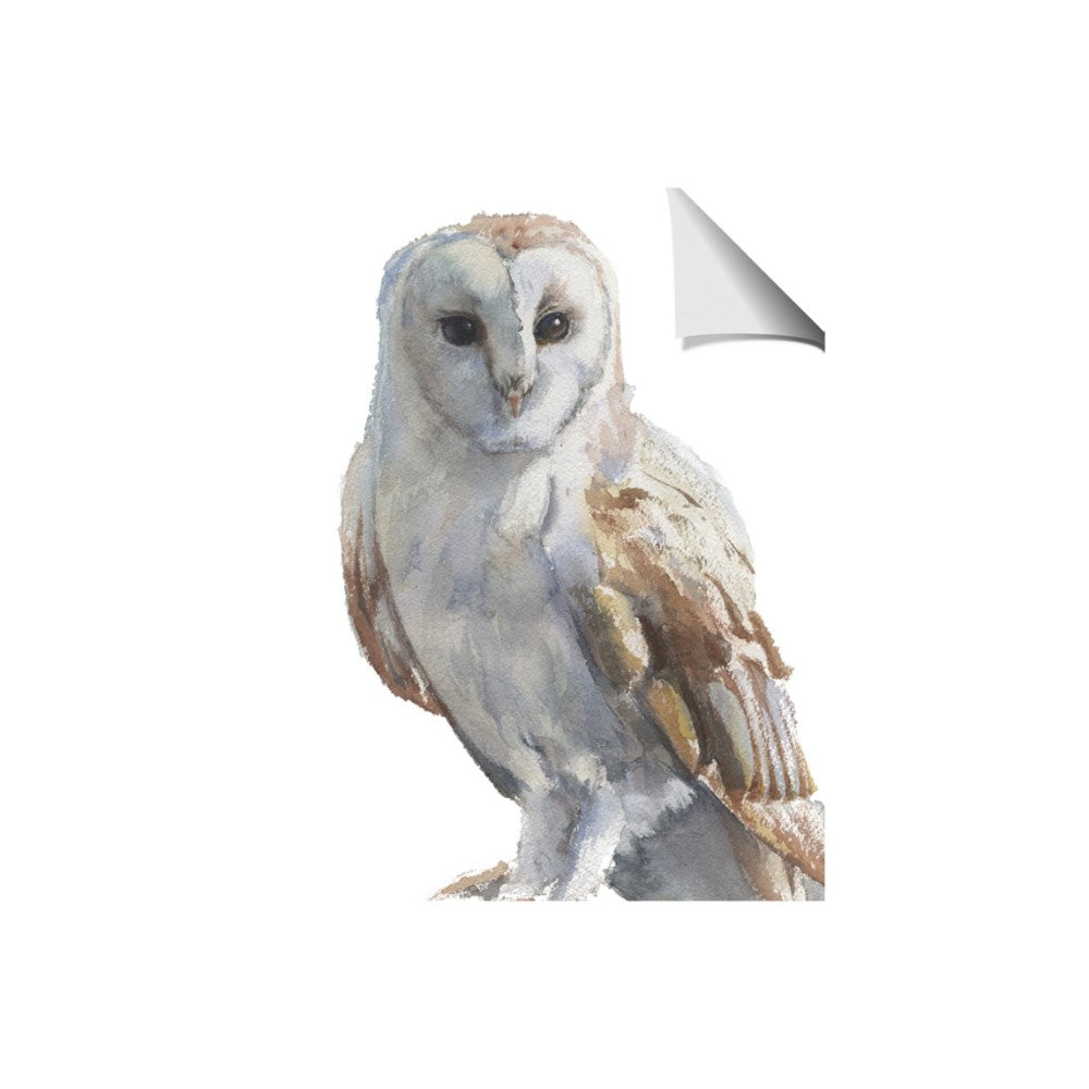 Watercolour Owl