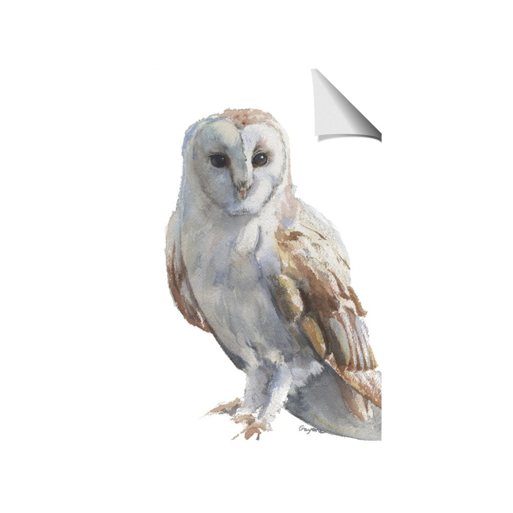 Watercolour Owl