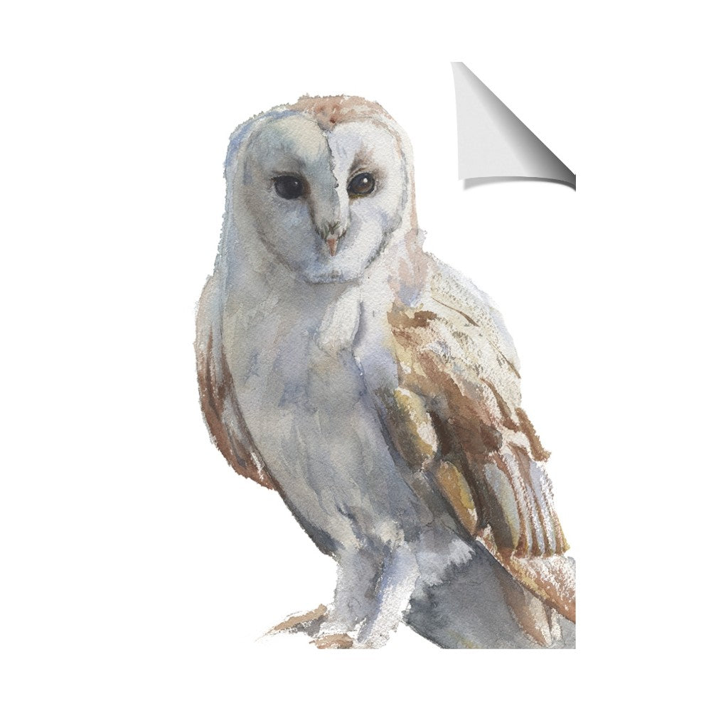 Watercolour Owl