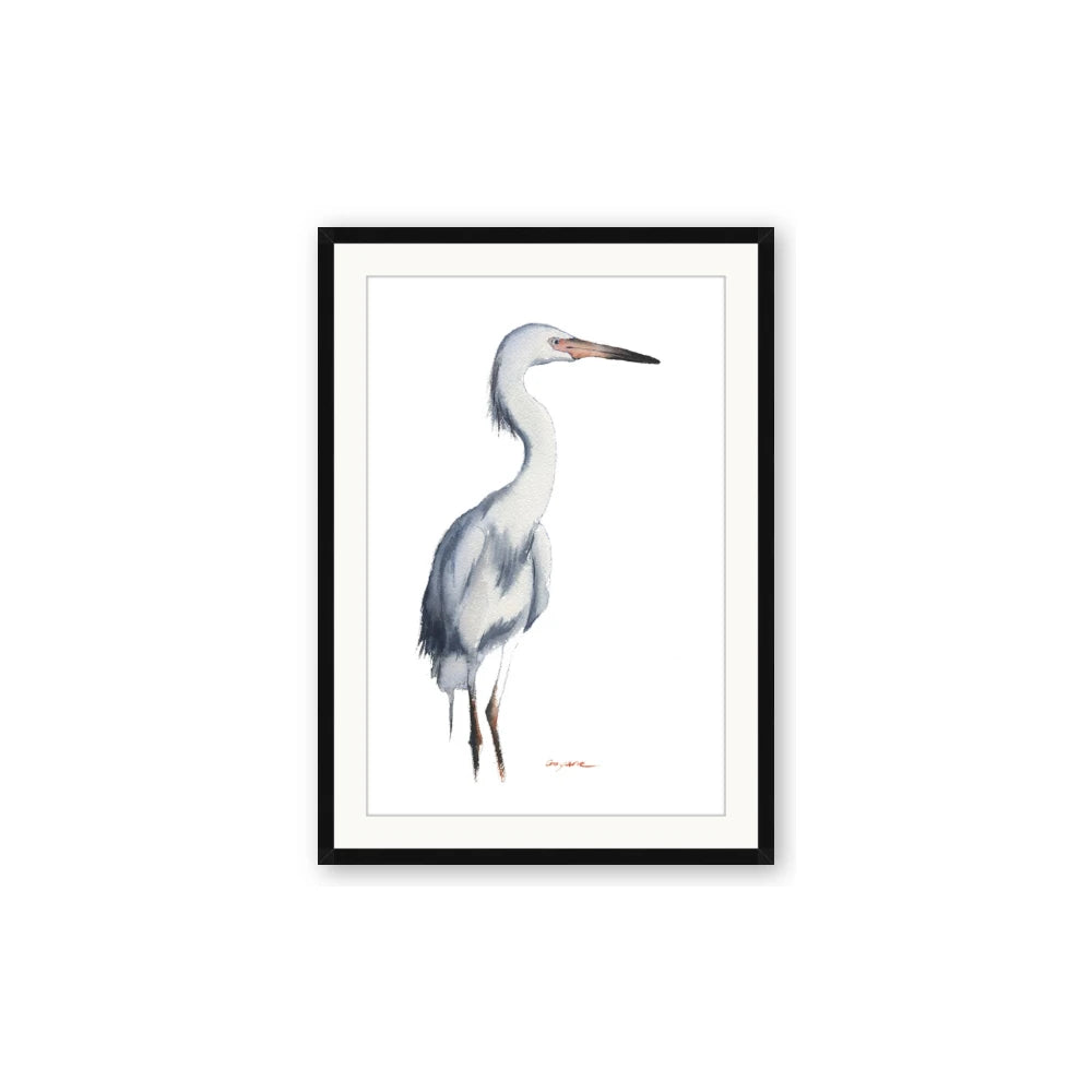 Egret I