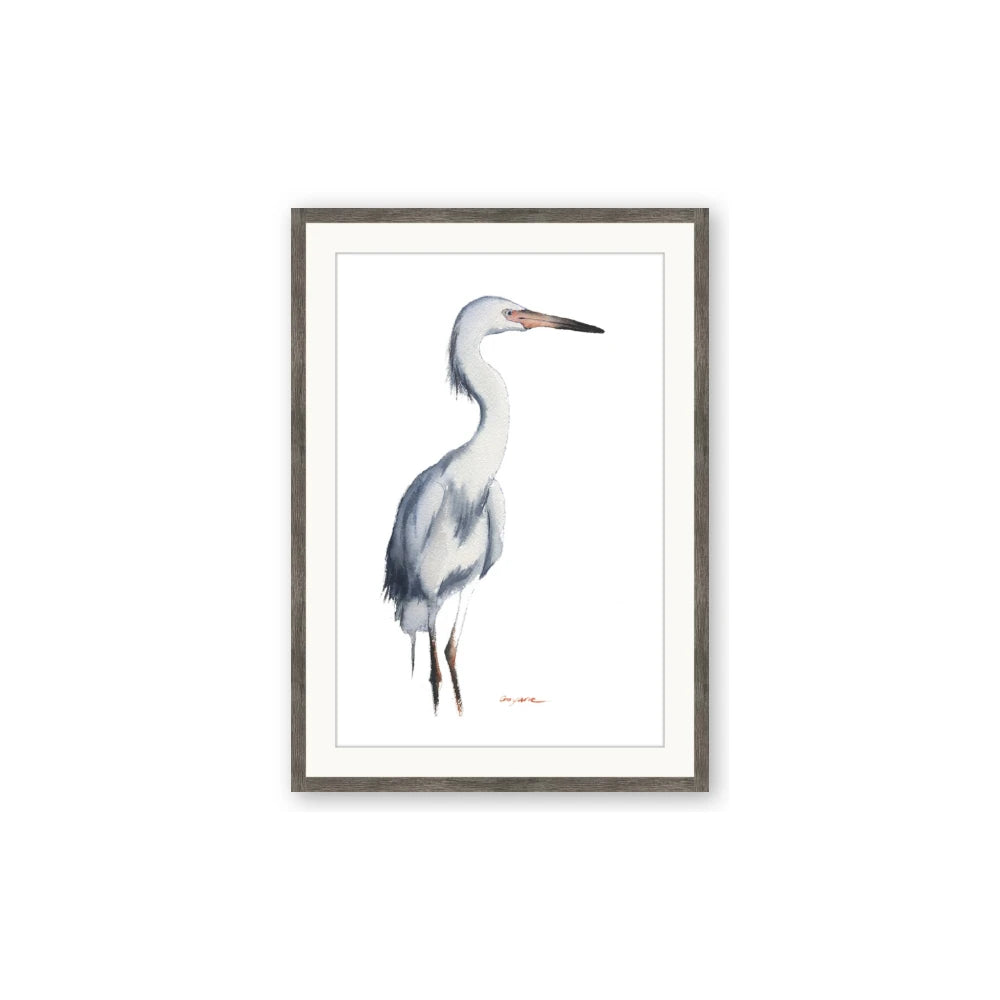 Egret I