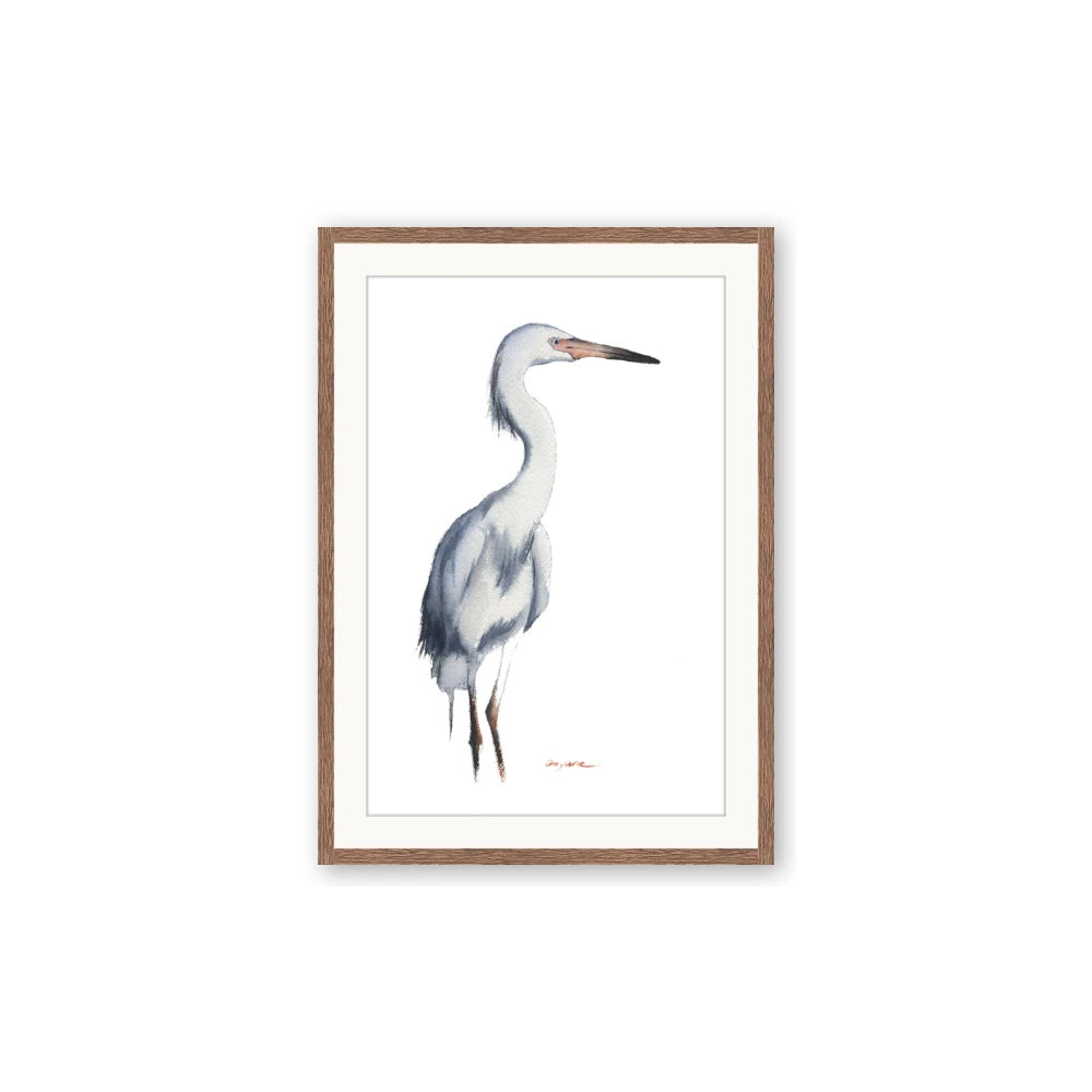 Egret I