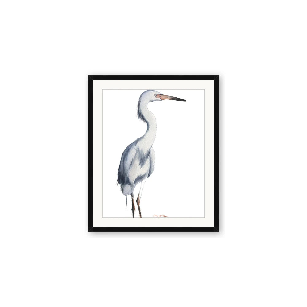 Egret I