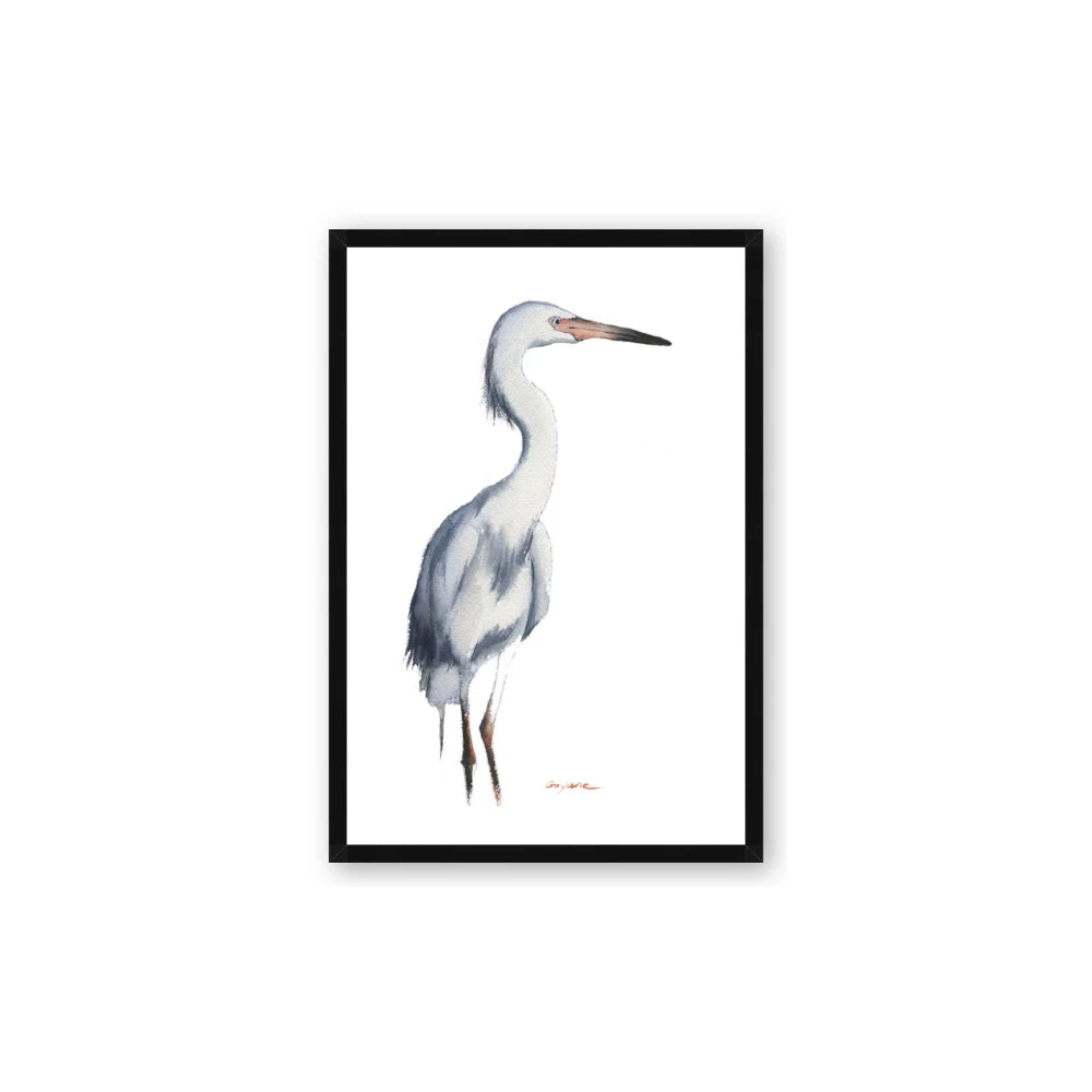 Egret I