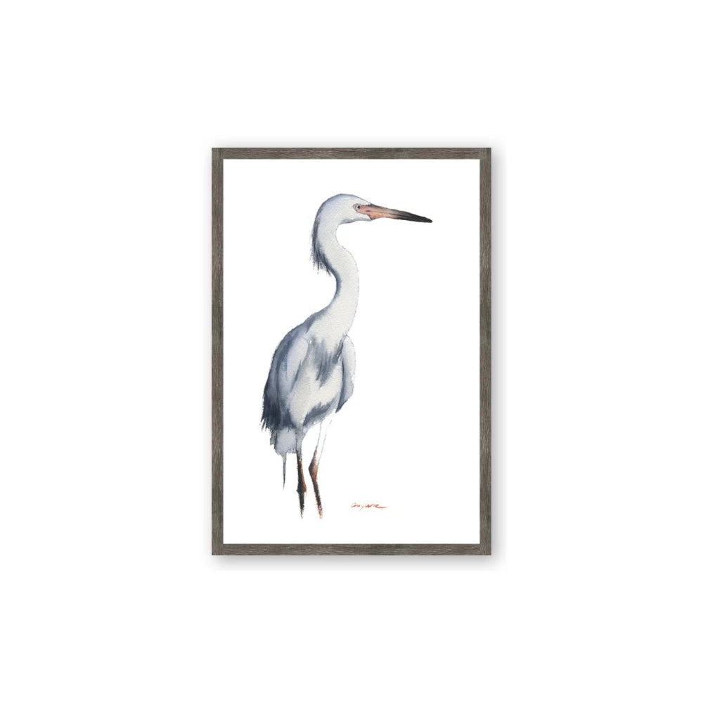Egret I