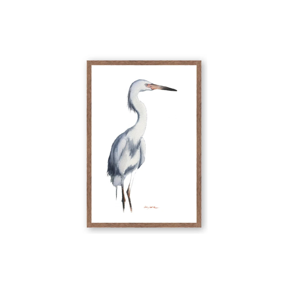 Egret I