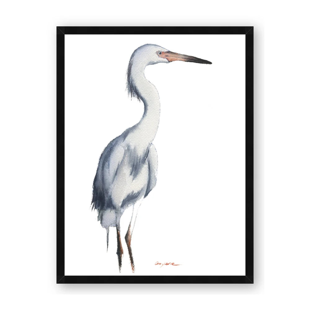 Egret I
