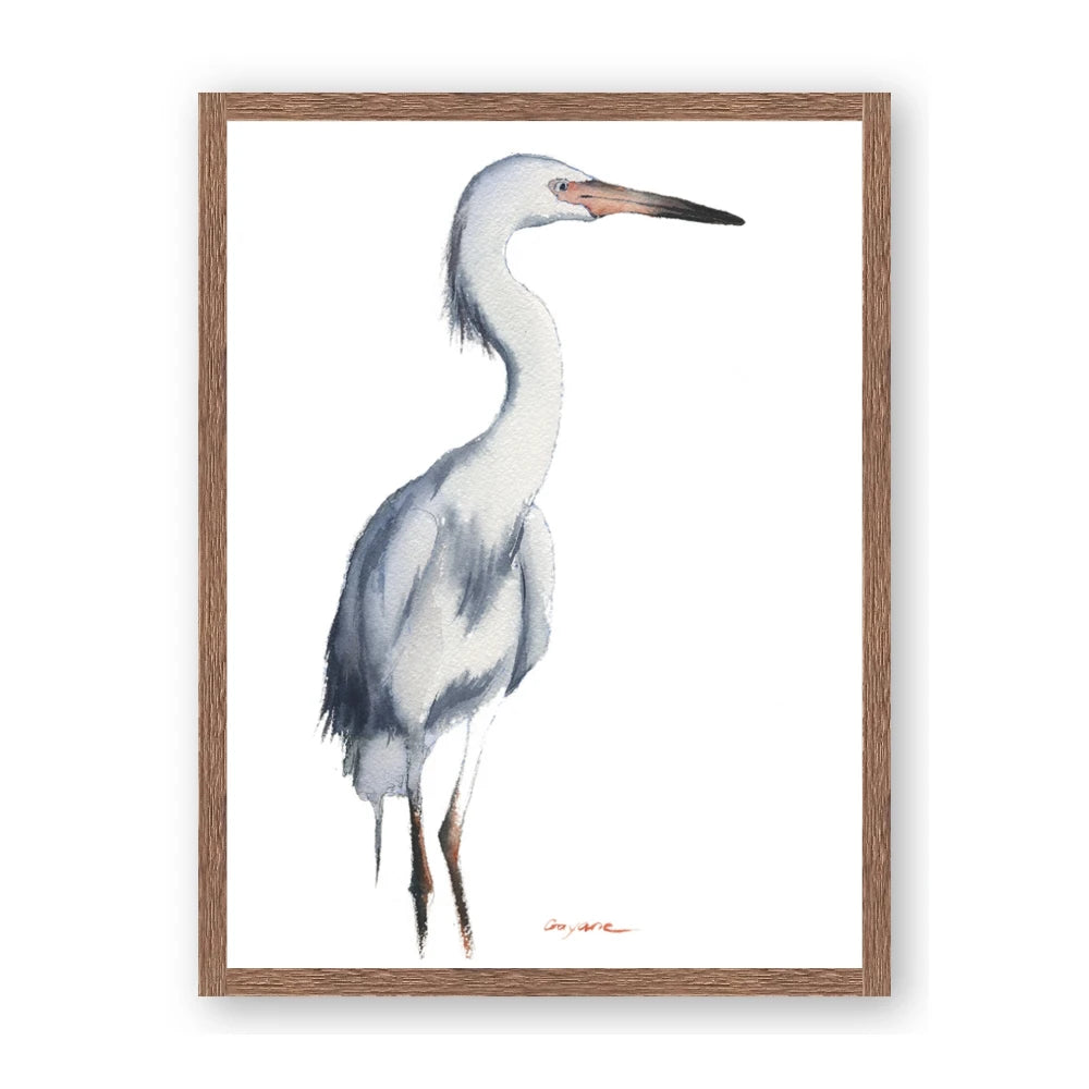 Egret I