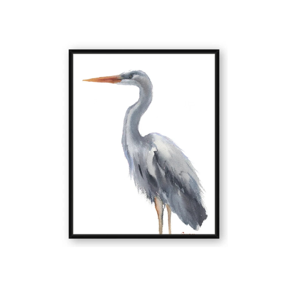 Egret II