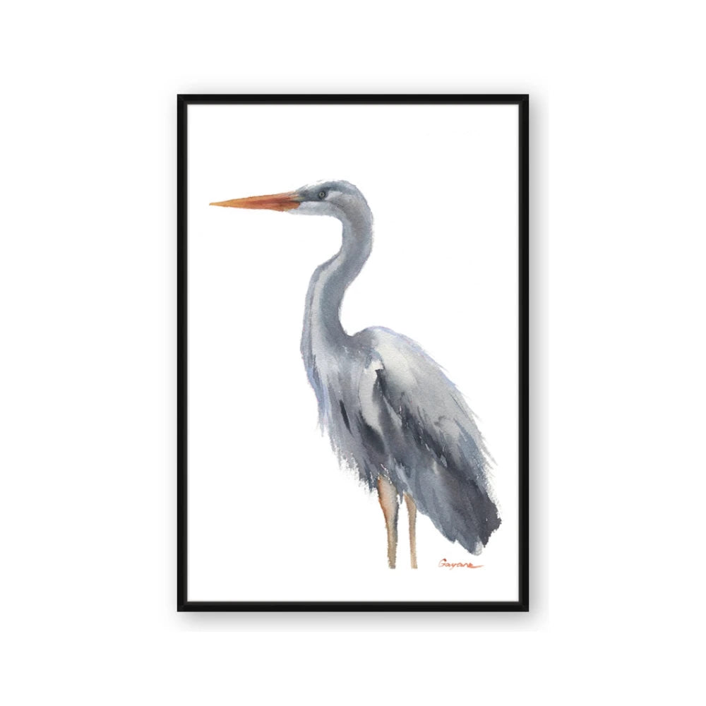 Egret II