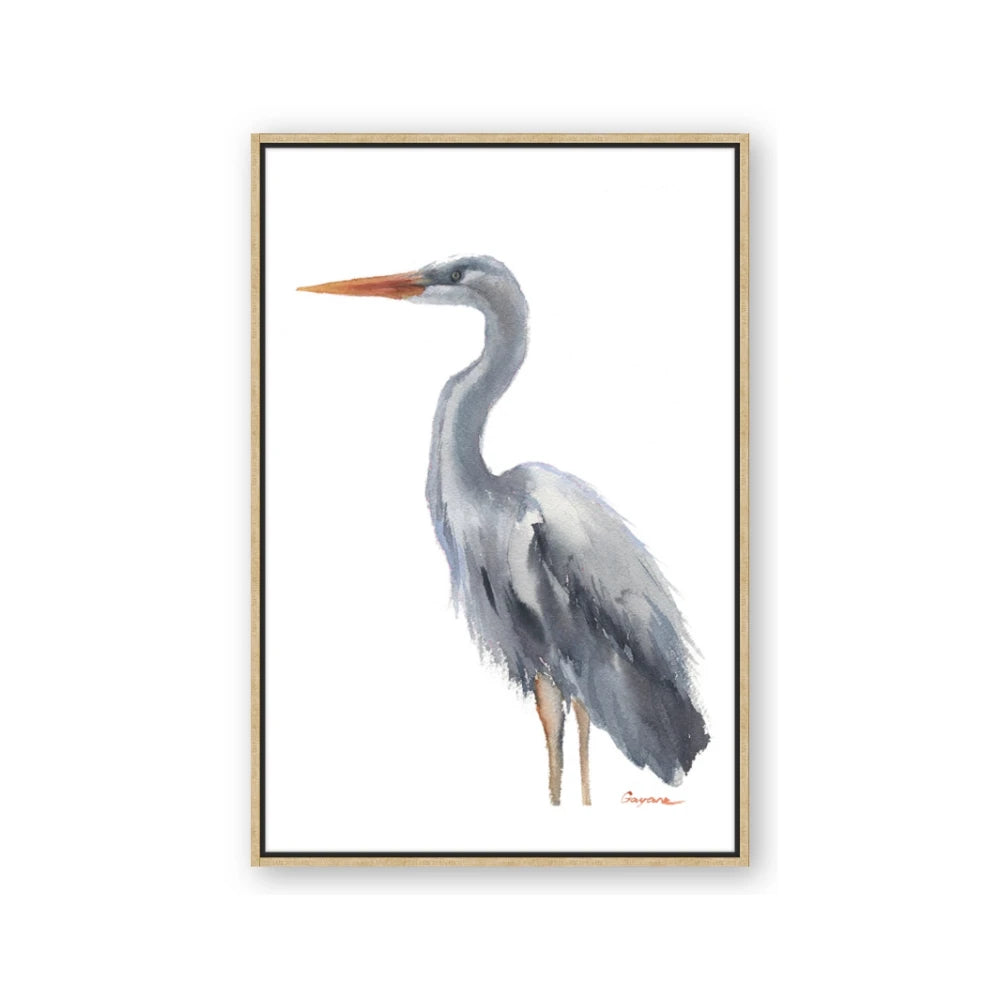 Egret II