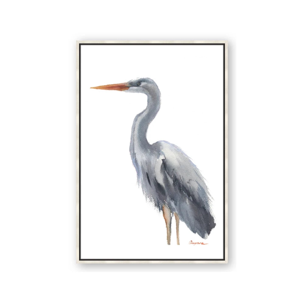 Egret II