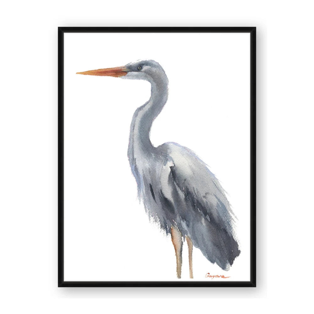 Egret II