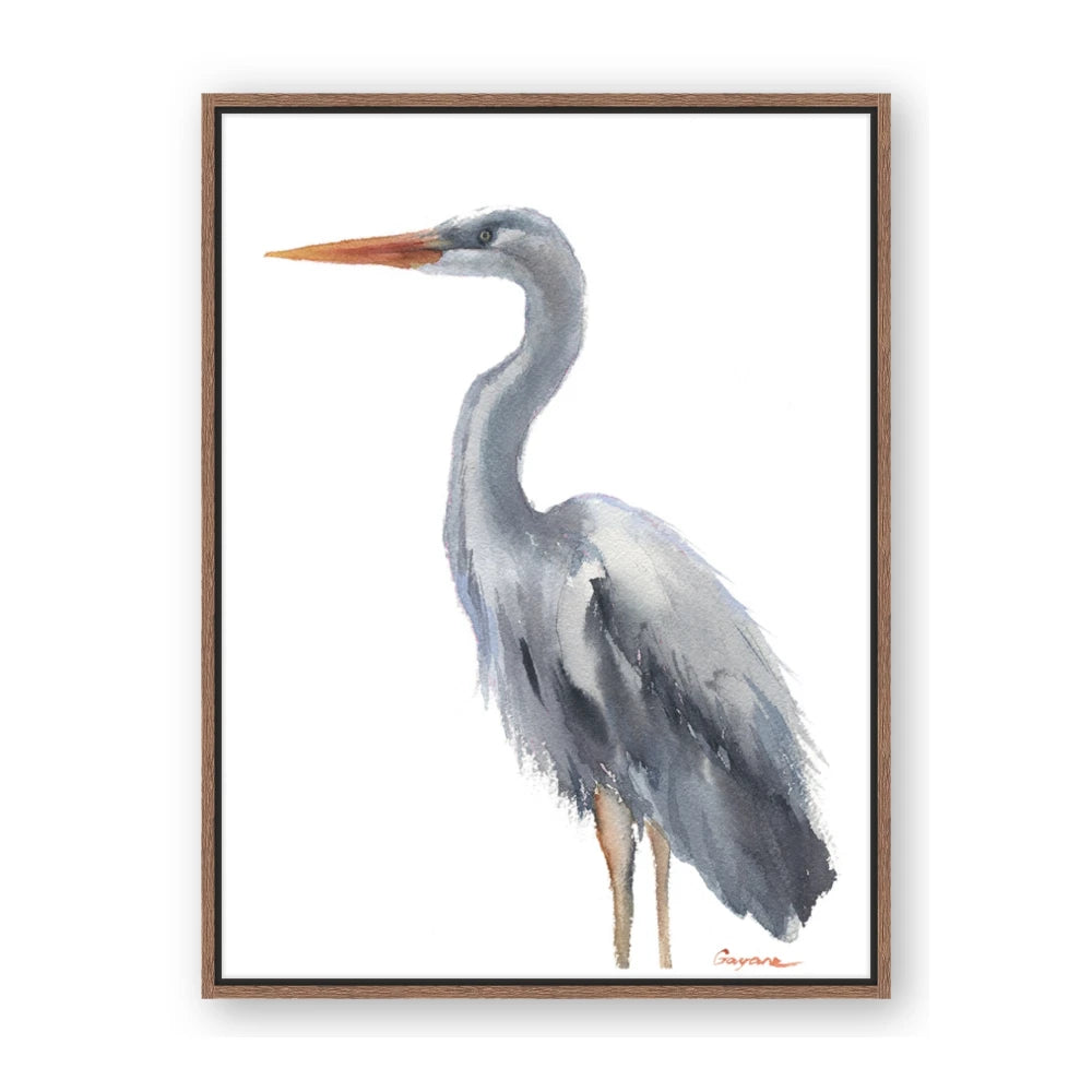 Egret II